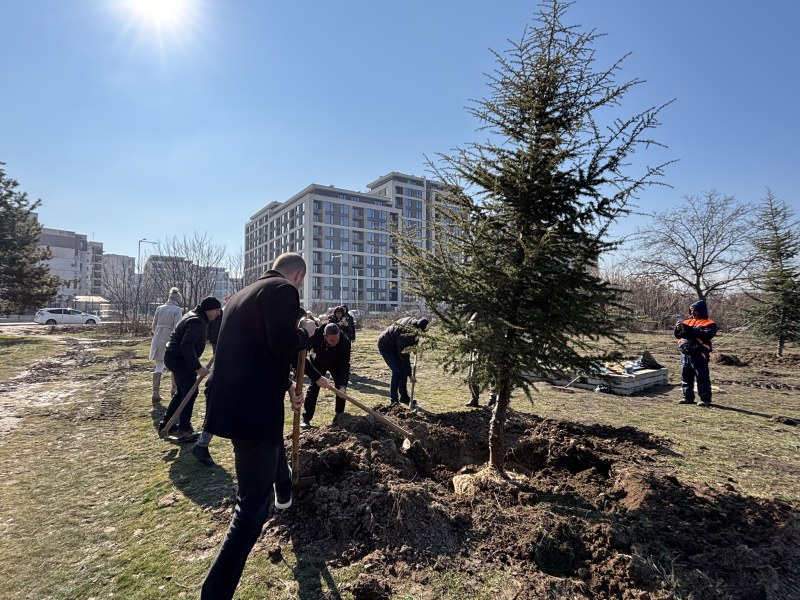 Започна пролетната залесителна кампания в Пловдив