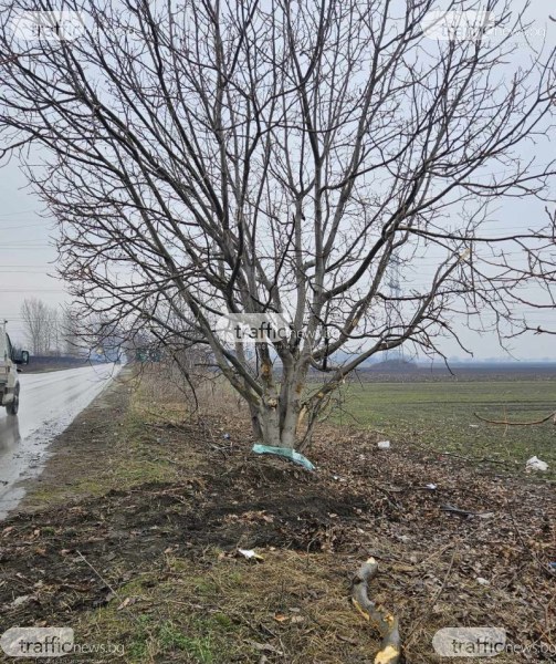 Тодор от Ягодово е загиналият при катастрофата, щял е да бъде абитуриент