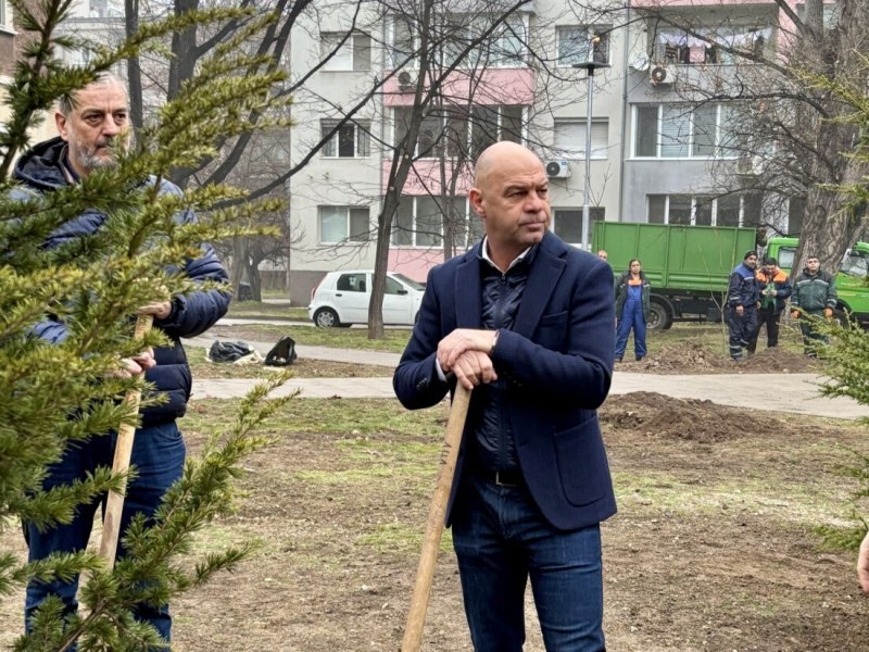 Община Пловдив си изгради собствен разсадник