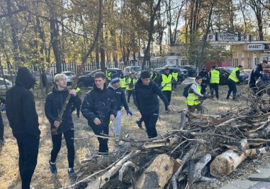 Мисия Лаута! Пловдивчани се включват с ентусиазъм, но липсват активни действия от страна на общината