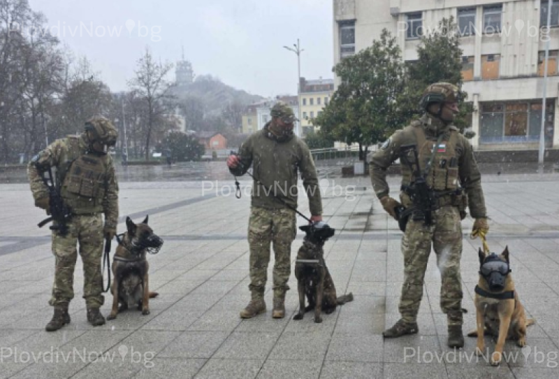 Армията обяви 225 свободни позиции за военни длъжности