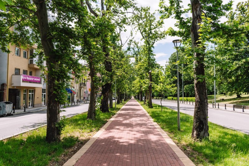 Петък в Пловдив - слънчев, ясен и с приятни температури