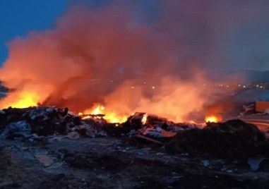 Запалиха камари с отпадъци в Пловдив, пожарната пак накрак