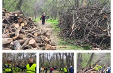 За шести път: “Мисия “Лаута“ събра стотици пловдивчани, които искат зелен град