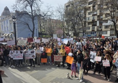 Освирквания и кучешки лай пред Съда в Пловдив: Десетки на протест срещу насилието над животните