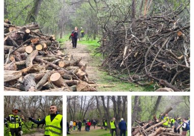 За шести път: “Мисия “Лаута“ събра стотици пловдивчани, които искат зелен град