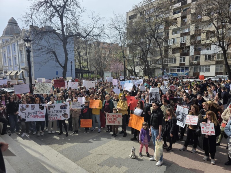 Освирквания и кучешки лай пред Съда в Пловдив: Десетки на протест срещу насилието над животните