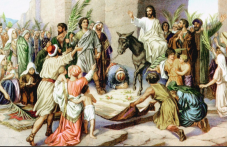tsvetnitsa-e-pochita-se-vlizaneto-iisus-961.png