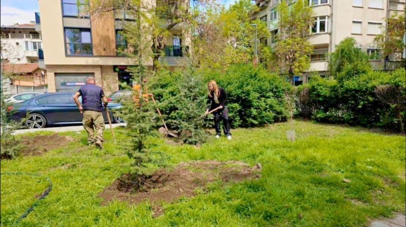 Зелената вълна в „Северен“: Над 200 нови дървета и близо 500 храста облагородяват района