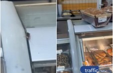Гостенка с шест крака: Хлебарка щъка на витрината с храна в супермаркет в Пловдив