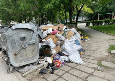 Глобиха пловдивчани, изхвърлили нерегламентирани отпадъци