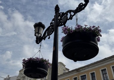 Стотици цветя преобразиха централната пешеходна зона на Пловдив ГАЛЕРИЯ