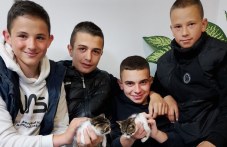 detsa-spasiha-dve-kotentsa-sigurna-smart-421.jpg
