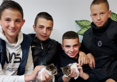 Деца спасиха две котенца от сигурна смърт
