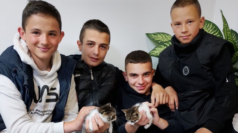 Деца спасиха две котенца от сигурна смърт
