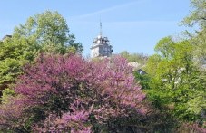 predimno-slanchev-i-topal-petak-plovdiv-348.jpg