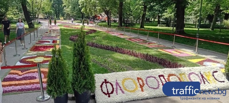 Цветна азбука разцъфна в сърцето на Пловдив
