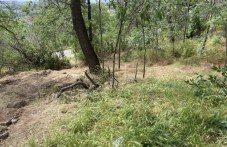 bunardzhika-i-mladezhkiia-halm-parkove-386.jpg