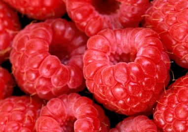 Малините - не само вкусни плодове, но и източник на фибри, витамини и антиоксиданти