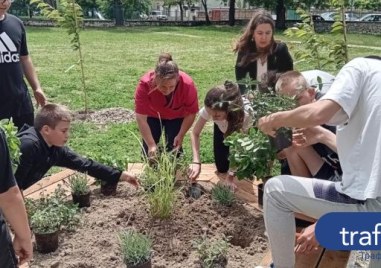 Ученето като суперсила: В Труд откриха първия зелен кът за четене в селско училище