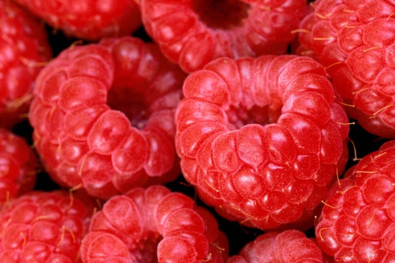 Малините - не само вкусни плодове, но и източник на фибри, витамини и антиоксиданти