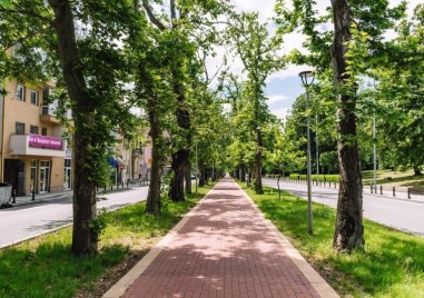 Понеделник в Пловдив - слънчев и топъл, градусите - нагоре