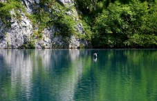 5-yunisvetovniiat-den-okolnata-sreda-143.jpg