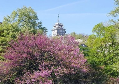 Неделя в Пловдив - слънчева, ясна и топла