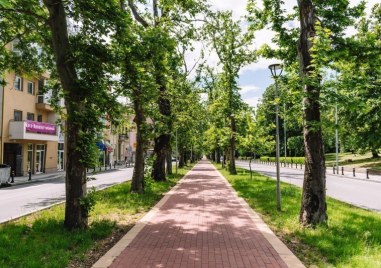 Четвъртък в Пловдив - слънчев и ясен, градусите скачат
