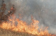 pozharoopasen-sezon-nastapi-vosachna-610.jpg