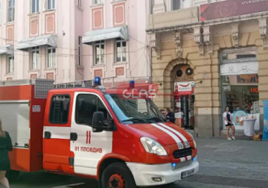 Отцепиха Главната заради пчели