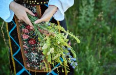 Еньовден е по народния календар, ден е и на българското лекарство
