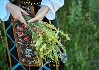 Еньовден е по народния календар, ден е и на българското лекарство