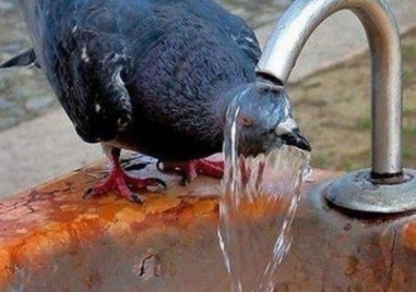 Обявиха жълт код за опасни жеги утре у нас
