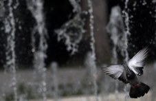 Обявиха оранжев код за опасна жега и утре