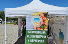 zapochva-fermerskoto-izlozheniemestni-106.png