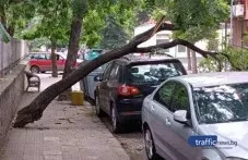 darvo-se-stovari-varhu-avtomobil-390.webp