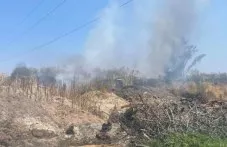 Постоянни пожари обгазяват жители на пловдивско село – нерегламентирани сметища са основният проблем