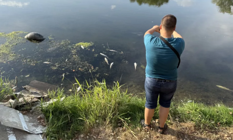 Подозират разлив на препарати в Марица в района на Рогош