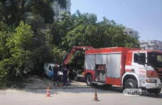 Дърво падна върху няколко коли в Кючука
