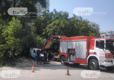 Дърво падна върху няколко коли в Кючука