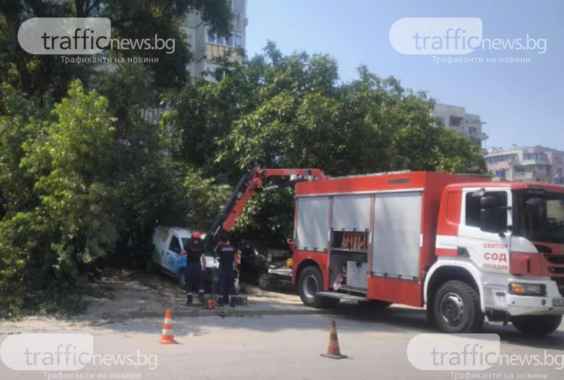 Дърво падна върху няколко коли в Кючука