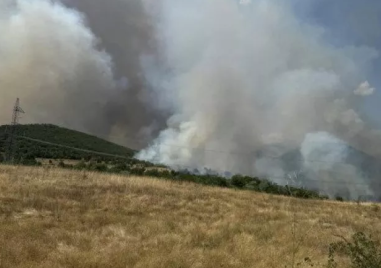 Пожарът край Песнопой е овладян