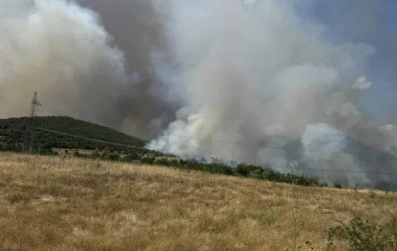 Пожарът край Песнопой е овладян