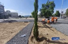 Над 2500 храсти, 25 дървета и много цветя ще украсяват кръговото на Централна гара