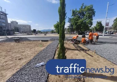 Над 2500 храсти, 25 дървета и много цветя ще украсяват кръговото на Централна гара