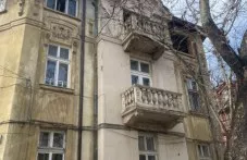 novite-medichi-specheliha-parviia-993.webp
