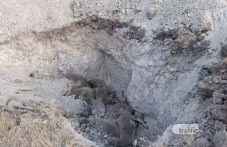 Загробват умъртвени болни от шарка животни край водоизточник и параклис с лековита вода в Първомайско