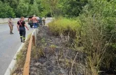 Навръх Илинден: Граждани спасиха гора от огнено бедствие в Пловдивско