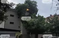Жалби и обещани мерки преди 3 години - Дървото се стовари върху къща в Съдийски, преди да бъде отрязано